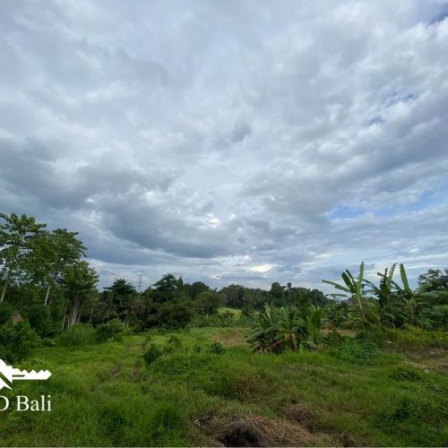 36 ARE LAND WITH VIEW IN UBUD