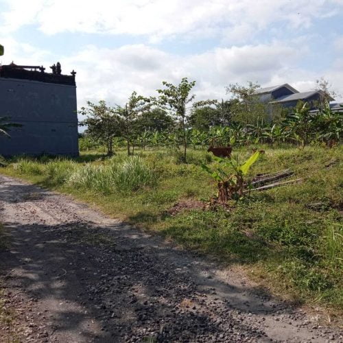 Attractive Plot Land in Munggu Available for Freehold