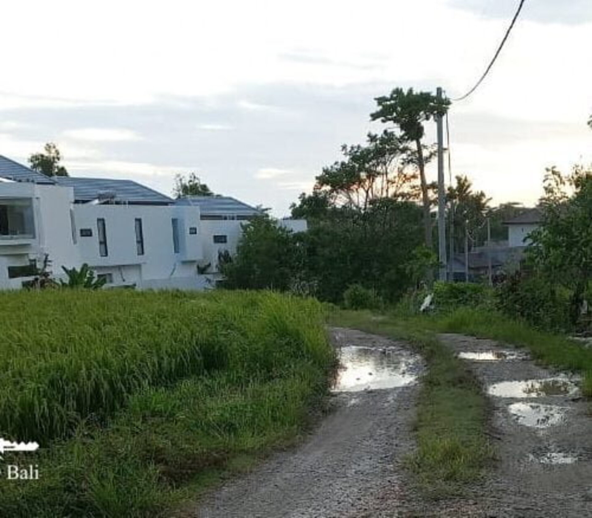 Freehold-3-are-land-Pantai-Lima-2