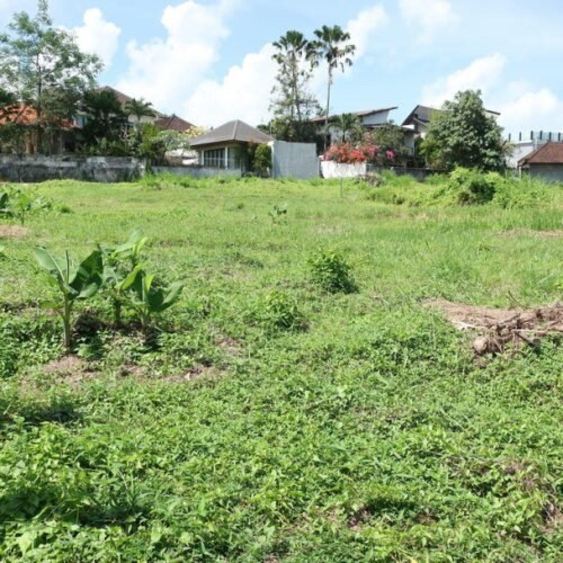 Freehold-Berawa-Land-755sqm-1