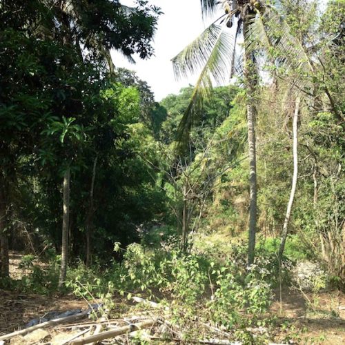 EXCLUSIVE PLOT OF LAND IN NYANYI FOR FREEHOLD