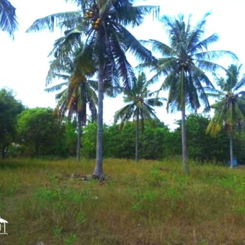 5 Are Land Gili Meno 1