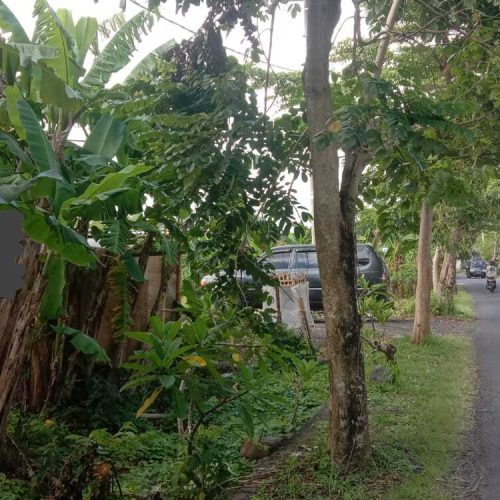 LAND FOR FREEHOLD 351 M2 IN PEGEDING DALUNG