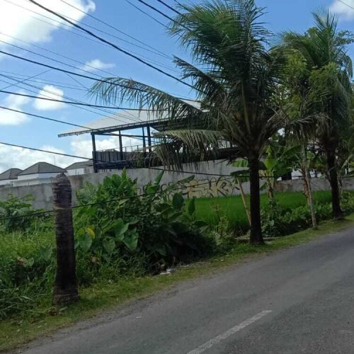 land for lease 35,5 Are in Pererenan (1)