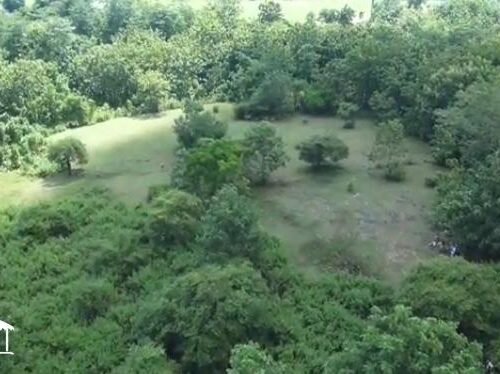 LAND IN BALANGAN BEACH (1)