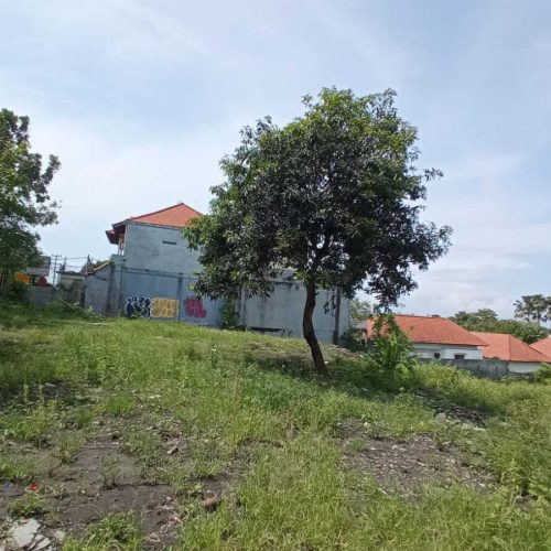 43 ARE LAND FOR LEASEHOLD IN BUMBAK UMALAS