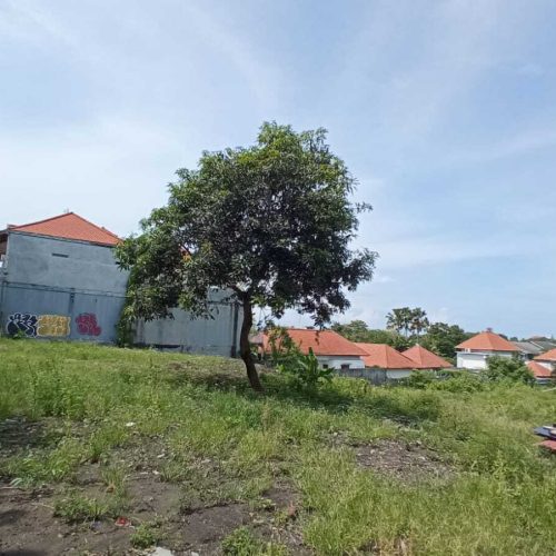 43 ARE LAND FOR LEASEHOLD IN BUMBAK UMALAS