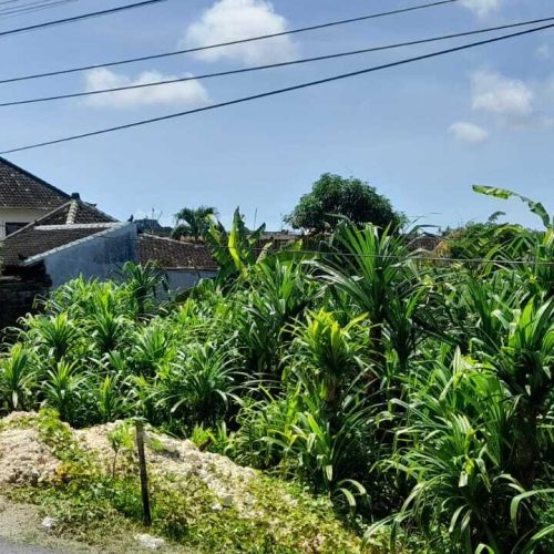LAND FOR LEASE 4 ARE IN TUMBAK BAYUH