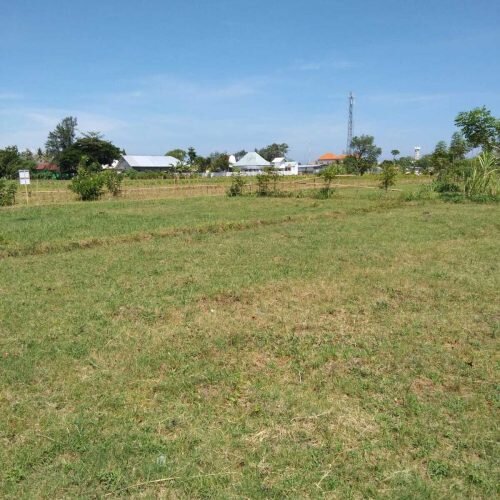 Freehold land in Lombok (15)