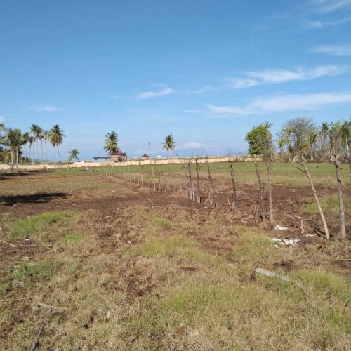 RARE FREEHOLD 12 ARE BEACHFRONT LAND IN LOMBOK