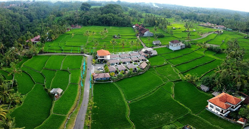 Villa Abirama Ubud