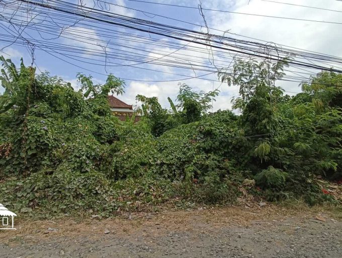 2 Are Land in Semer (2)