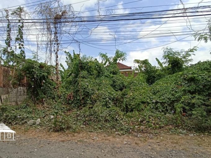 2 Are Land in Semer (6)