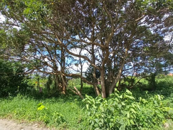 5 Are land in Kaba-Kaba (4)