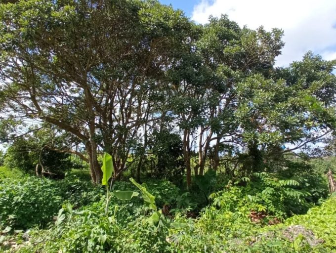 5 Are land in Kaba-Kaba (5)