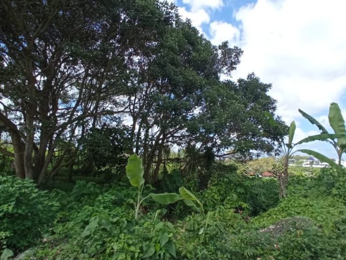 5 Are land in Kaba-Kaba (6)