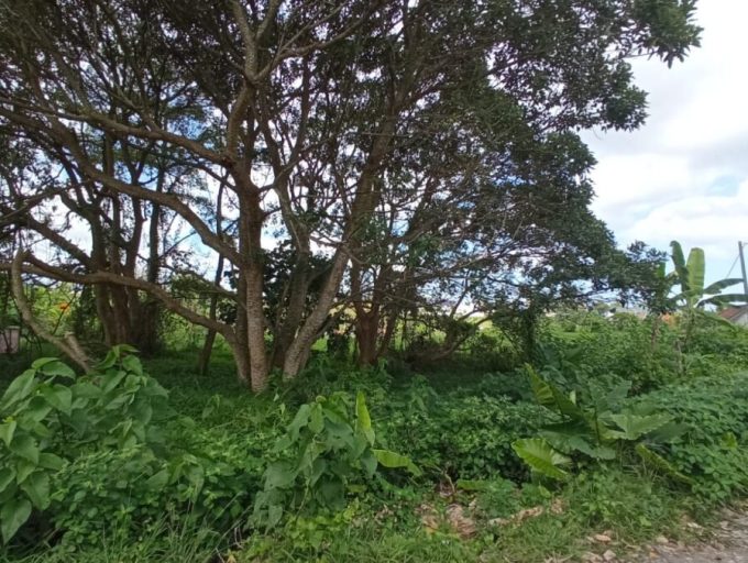 5 Are land in Kaba-Kaba (7)