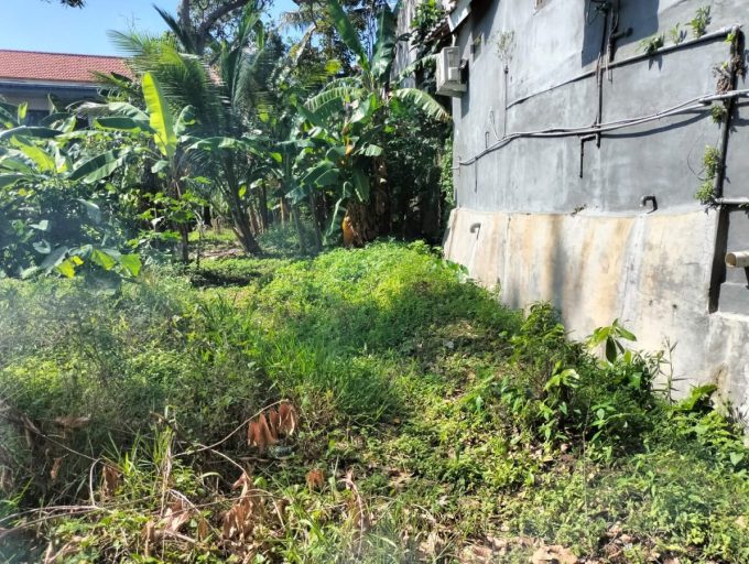 7 Are Land Yellow zone in Canggu (2)