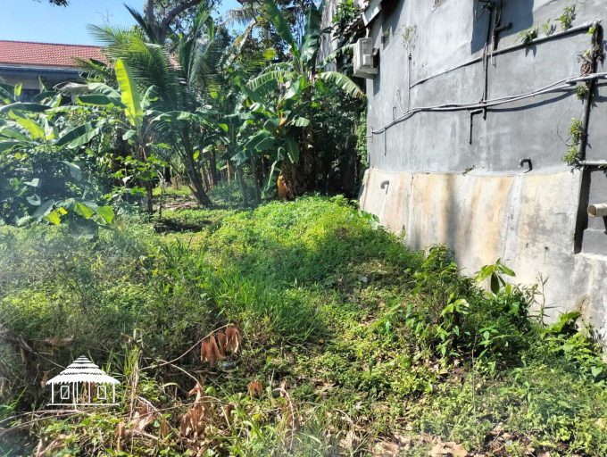 7 Are Land Yellow zone in Canggu (2)