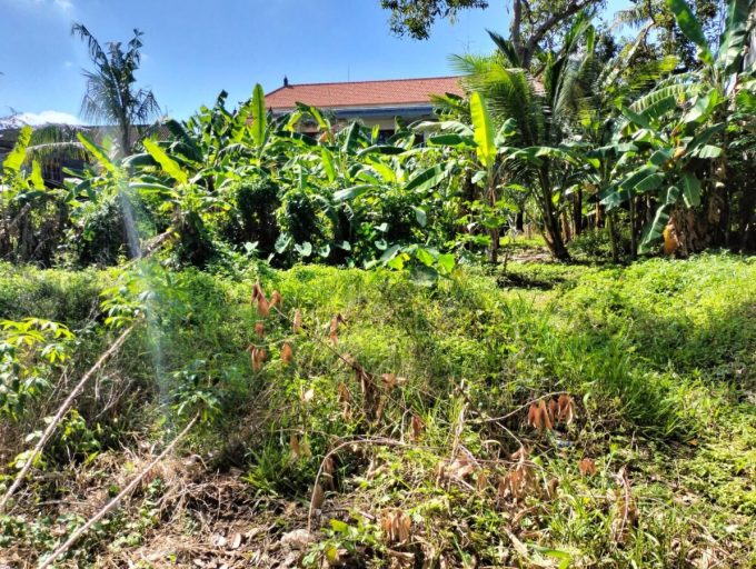 7 Are Land Yellow zone in Canggu (3)