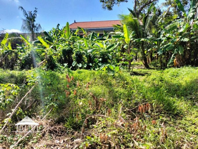 7 Are Land Yellow zone in Canggu (3)