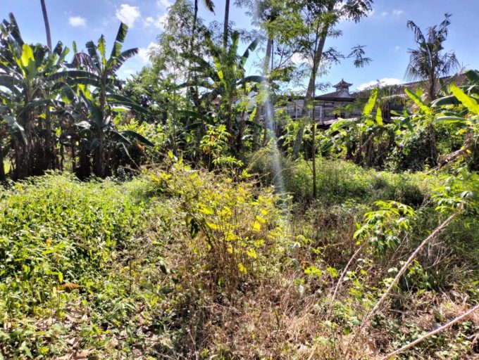 7 Are Land Yellow zone in Canggu (4)