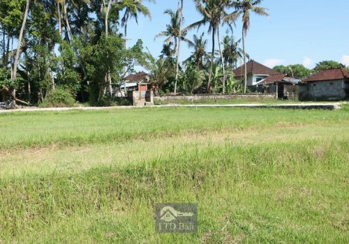 ATTRACTIVE-LAND-IN-BUWIT-FOR-LEASEHOLD-5