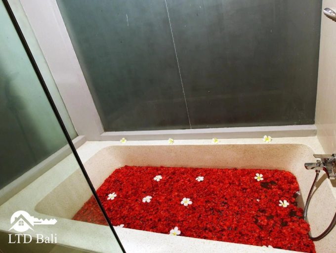 AnyConv.com__489546_13092611410016351856