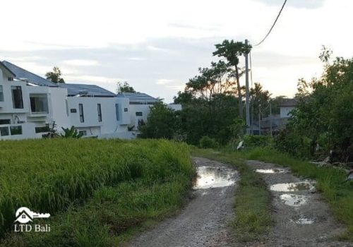 Freehold-3-are-land-Pantai-Lima-2