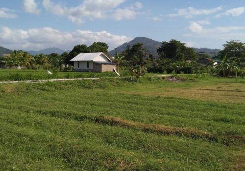 Freehold land in Lombok (1)