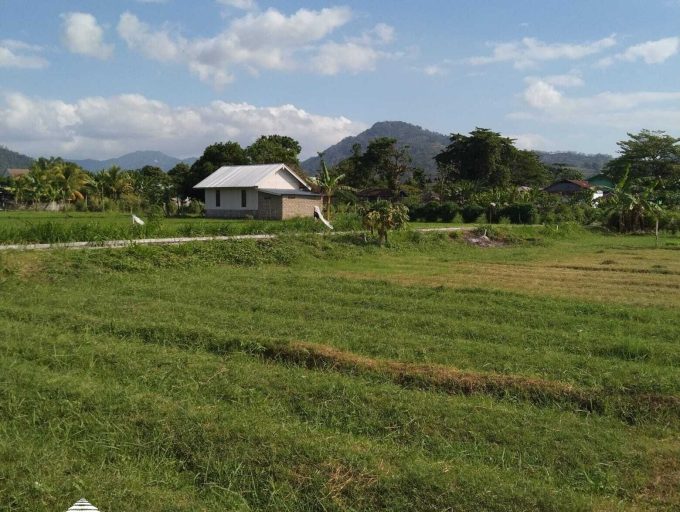 Freehold land in Lombok (1)