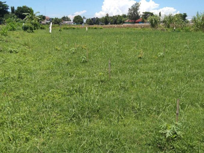 Freehold land in Lombok (12)