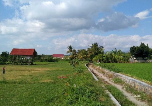 Freehold land in Lombok (3)