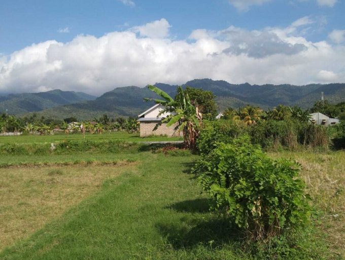 Freehold land in Lombok (5)