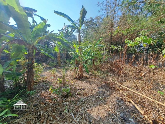 Freehold land in Padonan 8,8 Are (11)