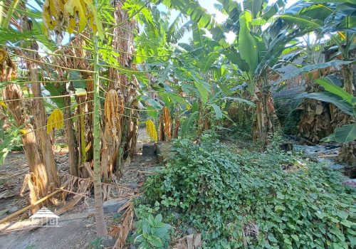 Freehold land in Padonan 8,8 Are (13)