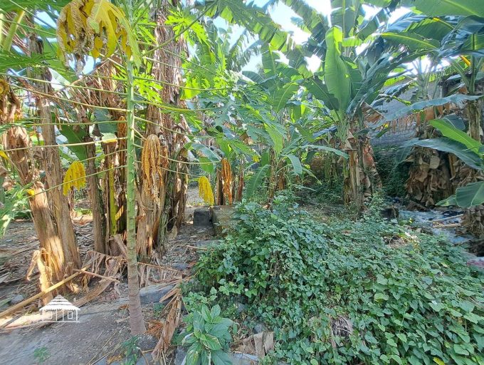 Freehold land in Padonan 8,8 Are (13)