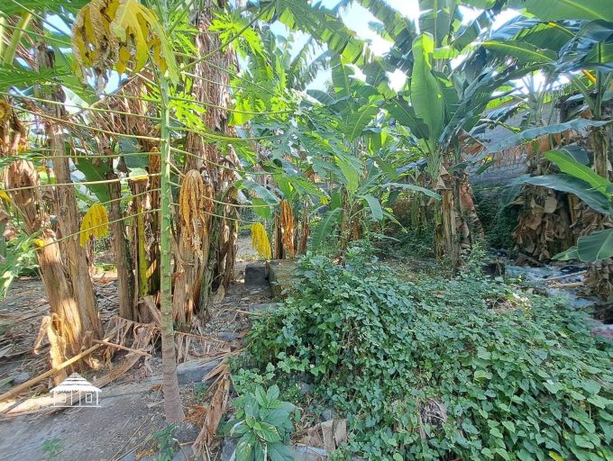 Freehold land in Padonan 8,8 Are (13)