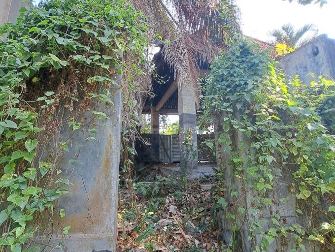 Freehold land in Padonan 8,8 Are (3)