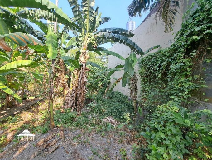 Freehold land in Padonan 8,8 Are (4)