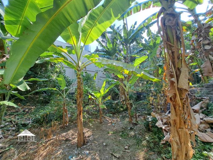 Freehold land in Padonan 8,8 Are (5)