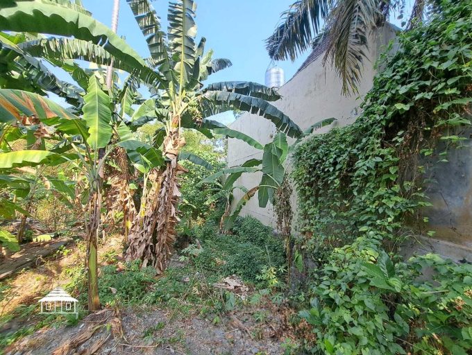 Freehold land in Padonan 8,8 Are (6)