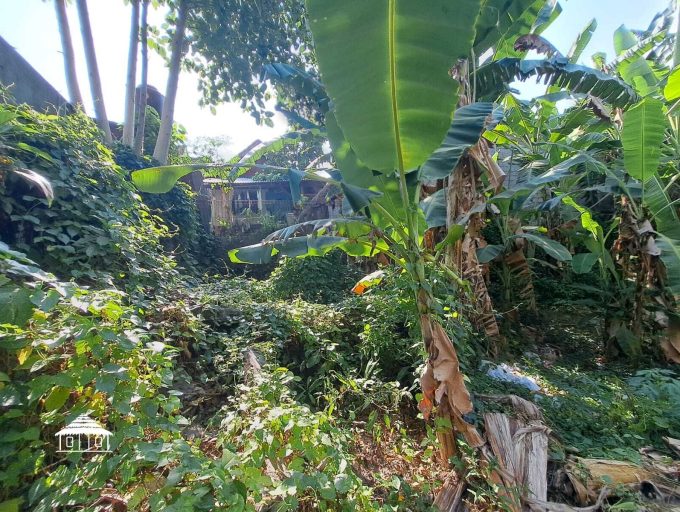 Freehold land in Padonan 8,8 Are (7)