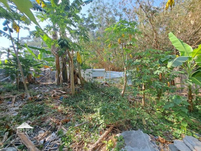 Freehold land in Padonan 8,8 Are (8)