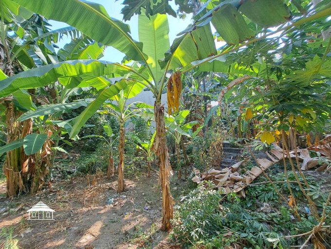 Freehold land in Padonan 8,8 Are (9)