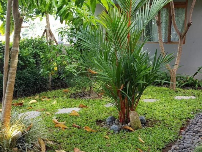 Himelia Villa (13)