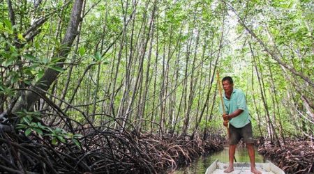Journée à Nusa Lembongan pour visiter la forêt de mangrove