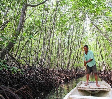 Journée à Nusa Lembongan pour visiter la forêt de mangrove