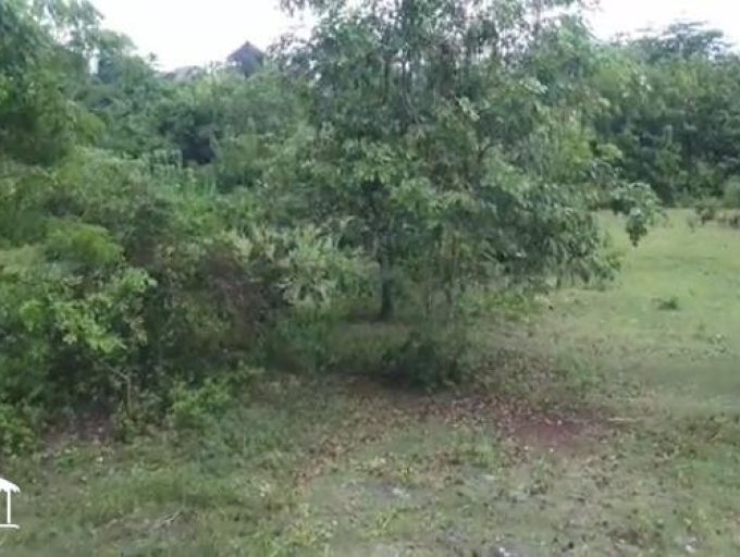 LAND IN BALANGAN BEACH (2)