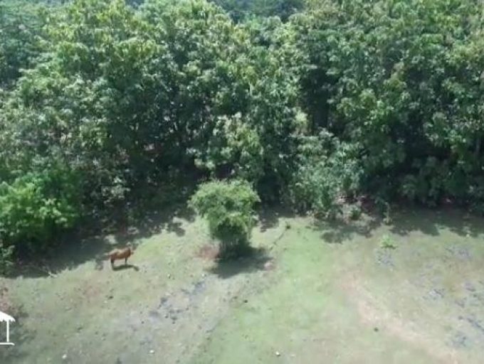 LAND IN BALANGAN BEACH (5)